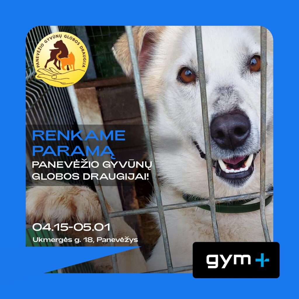 Prisidėk prie paramos beglobiams gyvūnams Panevėžyje!